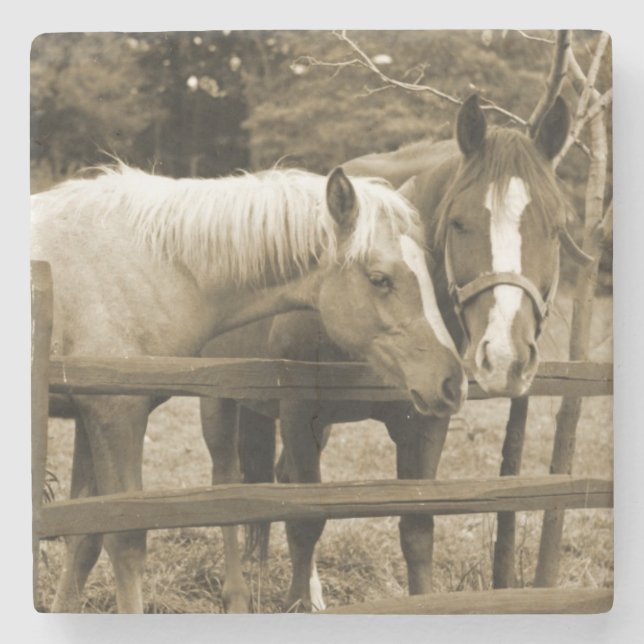 Posavasos De Piedra Mejores amigos (Anverso)