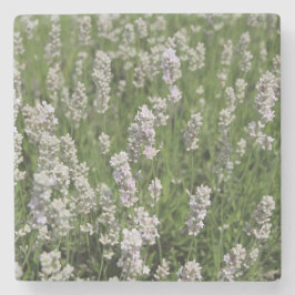 Posavasos De Piedra Melissa Lavender