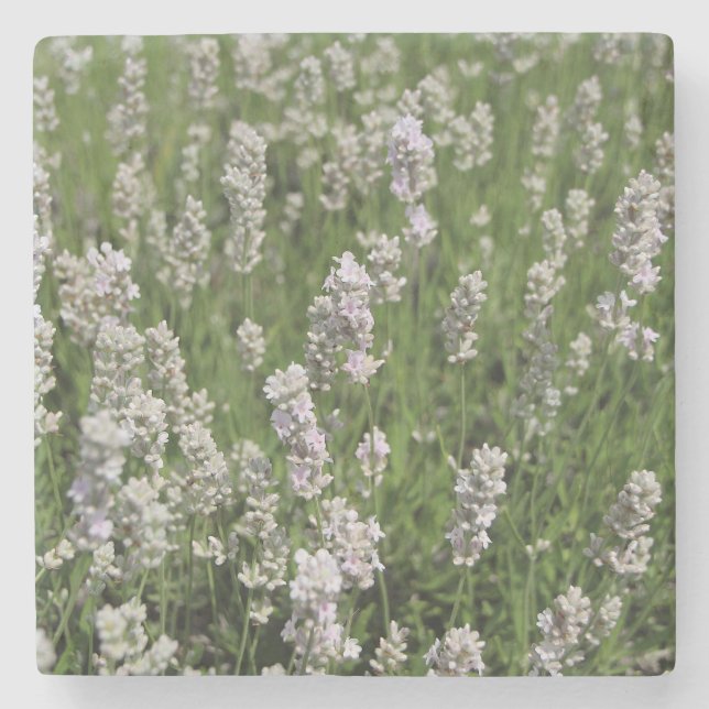 Posavasos De Piedra Melissa Lavender (Anverso)