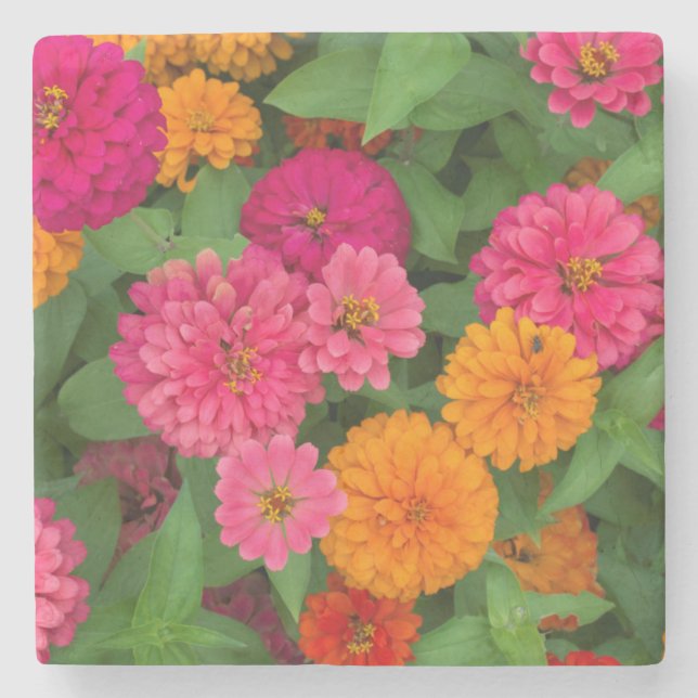 Posavasos De Piedra Michigan, Dearborn, Greenfield Village. Cerrar (Anverso)