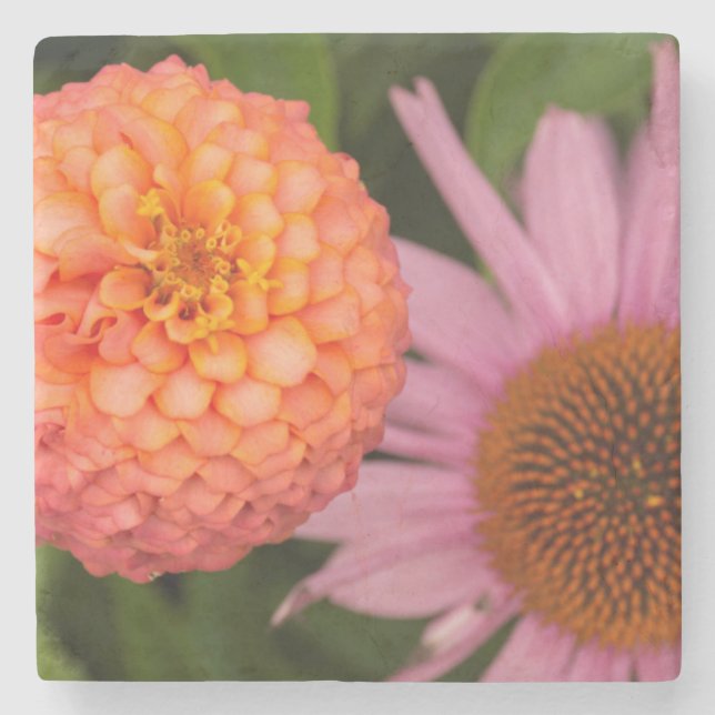 Posavasos De Piedra Michigan, Dearborn, Greenfield Village.Durazno (Anverso)