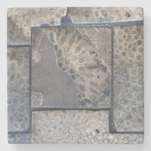 Posavasos De Piedra Michigan Petoskey Stone Coaster