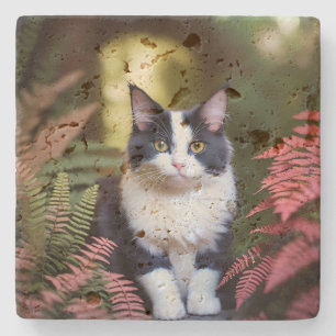 Posavasos De Piedra Millie El Gato Ragdoll,