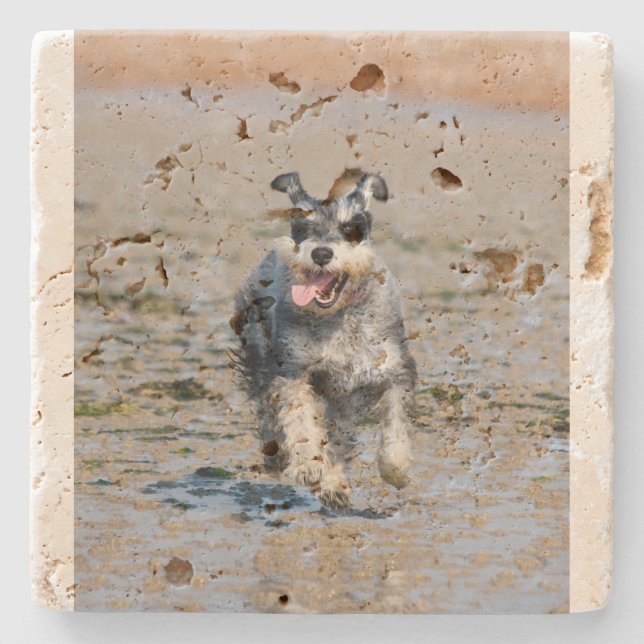 Posavasos De Piedra mini schnauzer-run (Anverso)