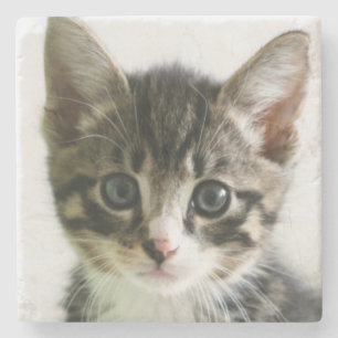 Posavasos De Piedra Mirada fija del gatito