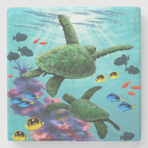 Posavasos De Piedra Molokini Cove Tropical De Tortugas De Mar De Hawái