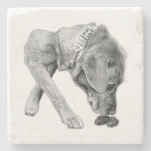 Posavasos De Piedra Momento monocromo de la tabla