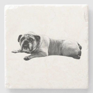 Posavasos De Piedra Momentos de bulldog