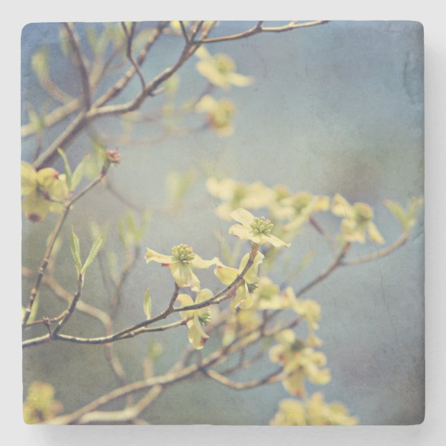 Posavasos De Piedra Monasterio de Mármol y Dogwoods (Anverso)