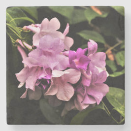 Posavasos De Piedra Monasterio tropical de las flores de lluvia