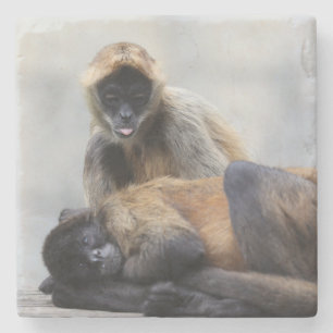 Posavasos De Piedra Monkey Coaster