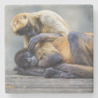 Posavasos De Piedra Monkey Coaster