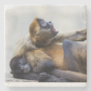Posavasos De Piedra Monkey Coaster