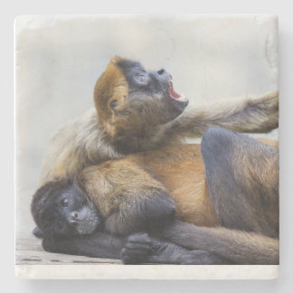 Posavasos De Piedra Monkey Coaster