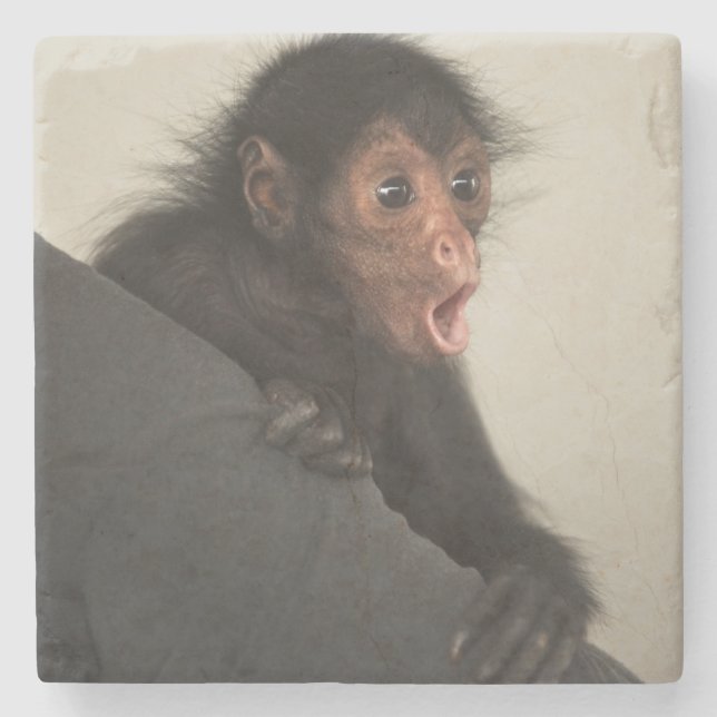 Posavasos De Piedra Mono araña de cara roja Ateles paniscus) (Anverso)