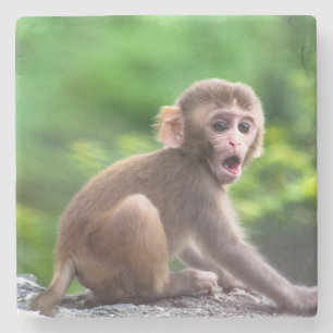 Posavasos De Piedra Mono de bebé dulce y adorable