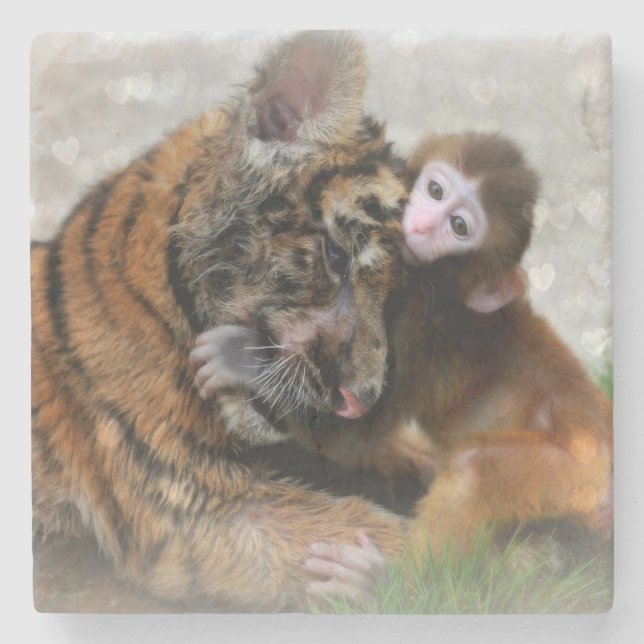 Posavasos De Piedra Mono y tigre (Anverso)