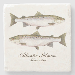 Posavasos De Piedra Monstruo Atlantino Salmón