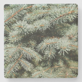 Posavasos De Piedra Monstruo cuadrado de las extremidades verdes de pi