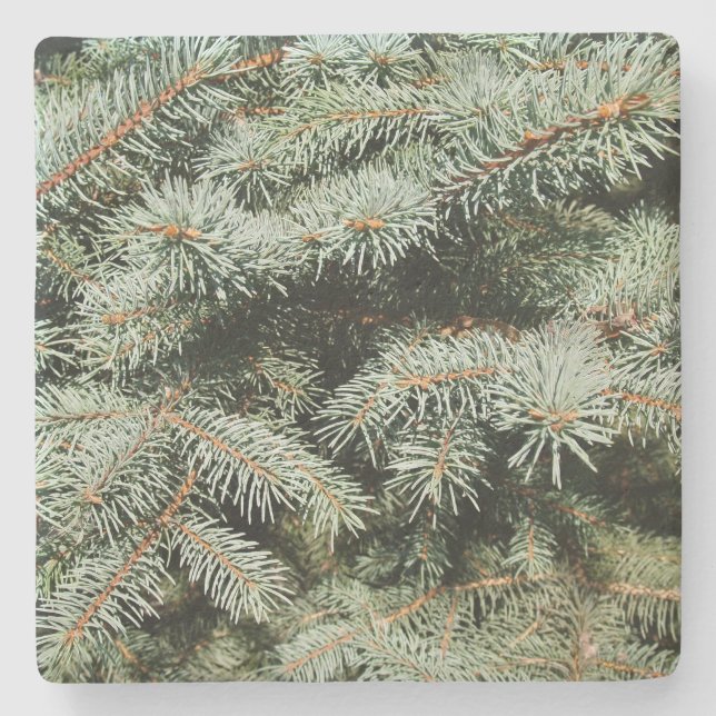 Posavasos De Piedra Monstruo cuadrado de las extremidades verdes de pi (Anverso)