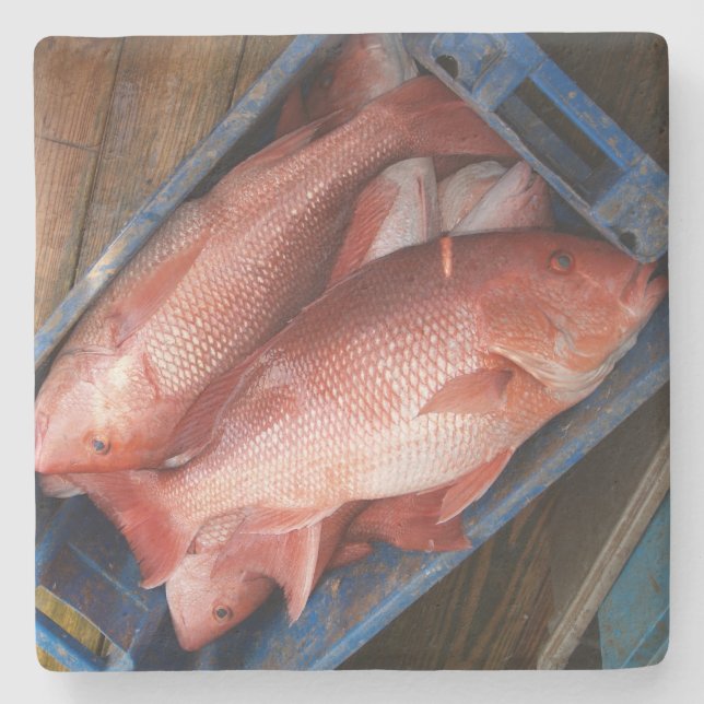 Posavasos De Piedra Monstruo cuadrado de Snapper rojo (Anverso)