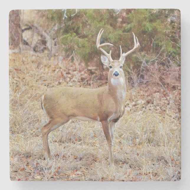 Posavasos De Piedra Monstruo de arte Buck Wild Deer (Anverso)