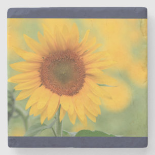 Posavasos De Piedra Monstruo de girasol