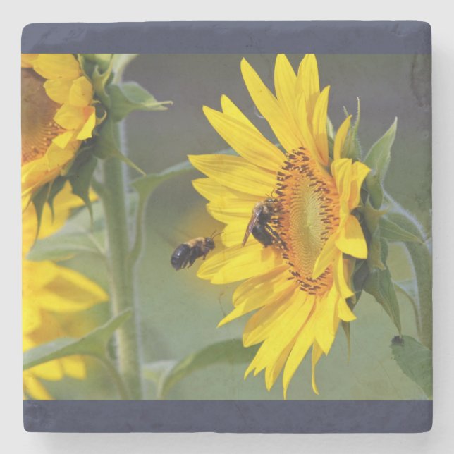 Posavasos De Piedra Monstruo de girasol (Anverso)