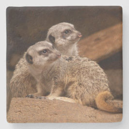 Posavasos De Piedra Monstruo de la Plaza Meerkat