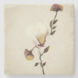 Posavasos De Piedra Monstruo de piedra