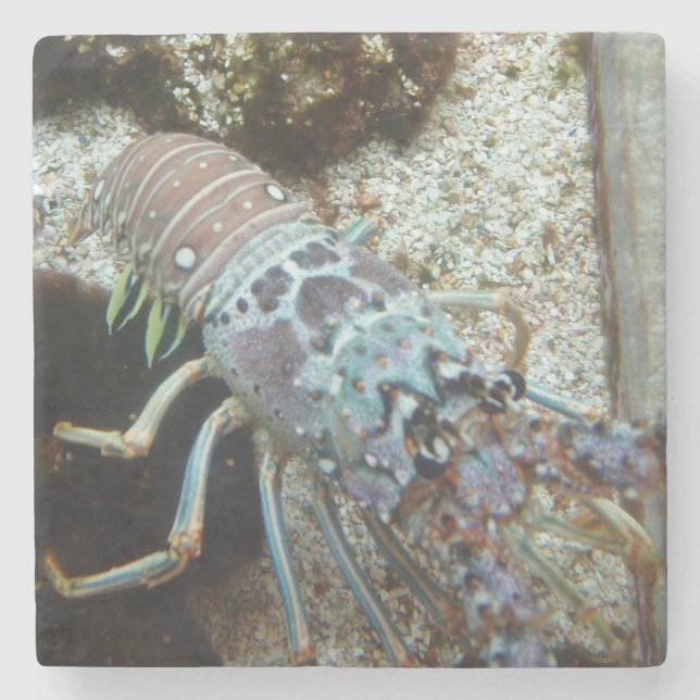 Posavasos De Piedra Monstruo de piedra con fuerte protección (Anverso)