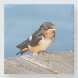 Posavasos De Piedra Monstruo de piedra de Barn Swallow