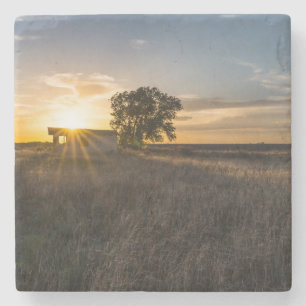 Posavasos De Piedra Monstruo de piedra de la puesta de sol de Shed Col