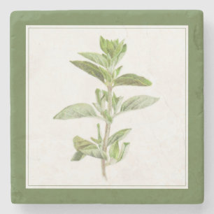 Posavasos De Piedra Monstruo de piedra de mármol de OREGANO FRESCO (-t