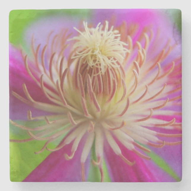 Posavasos De Piedra Monstruo de piedra floral en blanco (Anverso)