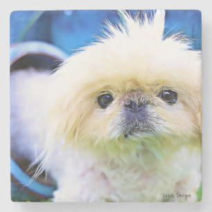 Posavasos De Piedra Monstruo de piedra Pekingese Marcus!