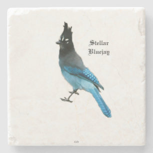 Posavasos De Piedra Monstruo de piedra Stellar Blue Jay