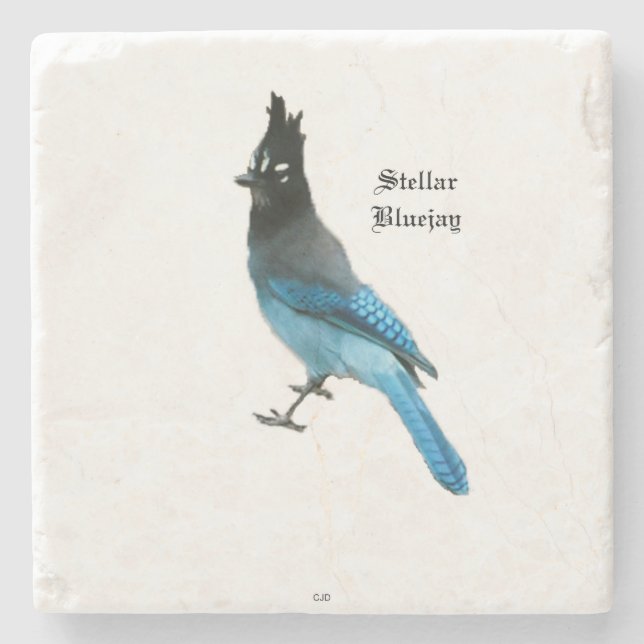 Posavasos De Piedra Monstruo de piedra Stellar Blue Jay (Anverso)