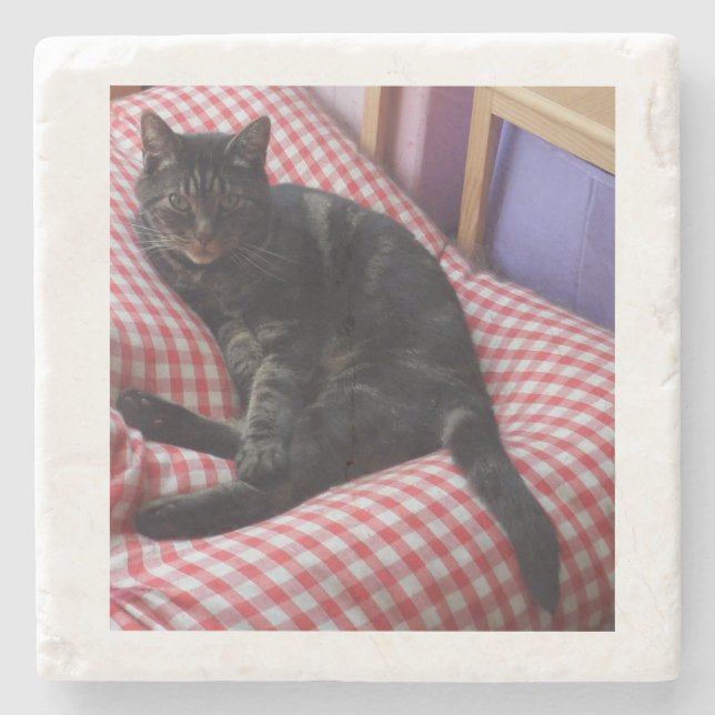 Posavasos De Piedra Montaña cutánea de piedra (Anverso)