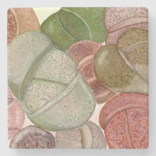 Posavasos De Piedra Montaña de piedra de piedras vivientes (lithops)