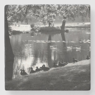 Posavasos De Piedra Montaña de piedra Park Life