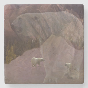 Posavasos De Piedra Montaña del oso polar,