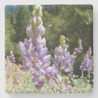 Posavasos De Piedra Montaña Lupins en Yosemite