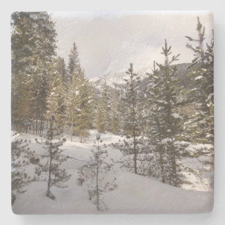 Posavasos De Piedra Montaña nevada de invierno en Montana