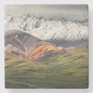 Posavasos De Piedra Montaña policromada, Denali NP, Alaska