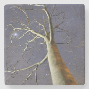 Posavasos De Piedra Montaña_rusa_del_árbol_estelar