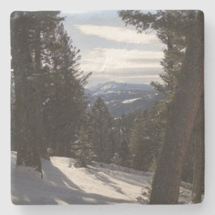 Posavasos De Piedra Montañas Madison en invierno en Montana
