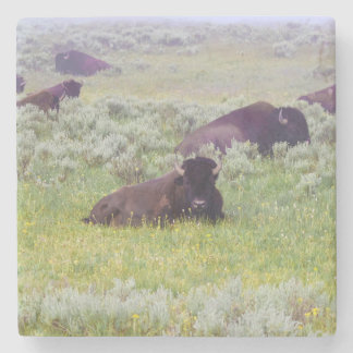 Posavasos De Piedra Montura de bisonte