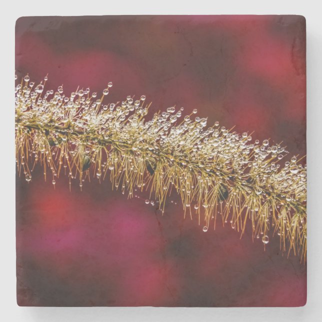 Posavasos De Piedra Morning Dew (Anverso)