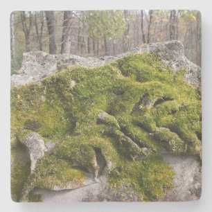 Posavasos De Piedra Mossy Broken Headstone